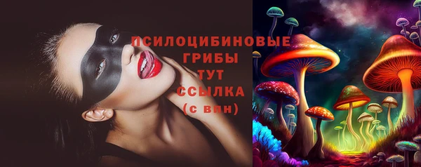прущие крисы Абаза