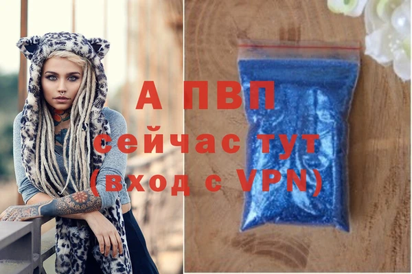 прущие крисы Абаза