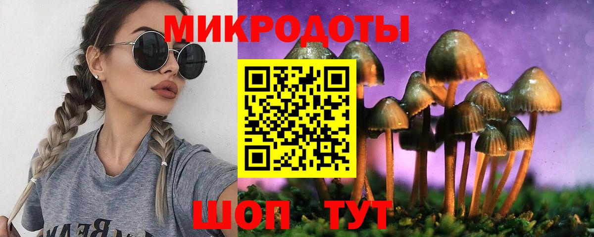 Калининград  Псилоцибиновые грибы Psilocybe  Вход с VPN 